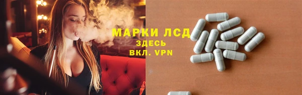 амф Горняк