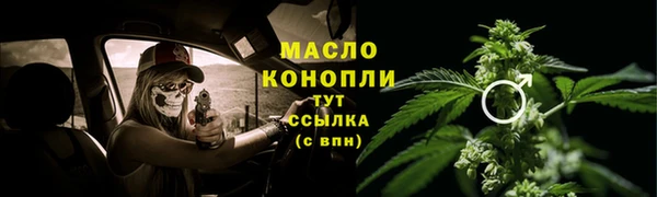 амф Горняк