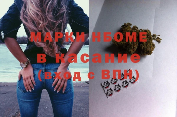амф Горняк