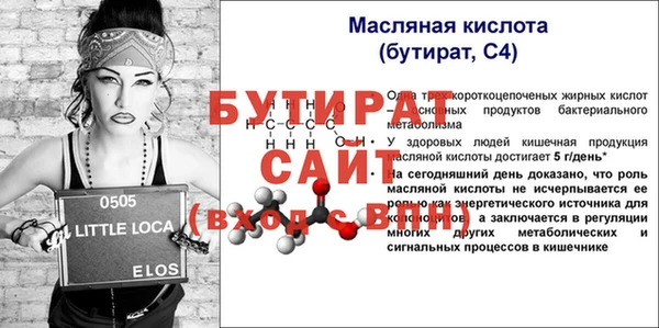 амф Горняк
