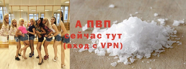 амф Горняк