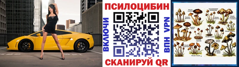 omg рабочий сайт  цены наркотик  Дальнегорск  Галлюциногенные грибы ЛСД 